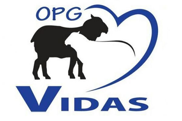 OPG Vidas
