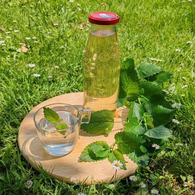 Sirup od matičnjaka 720 ml