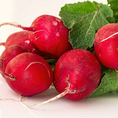 Svježa rotkvica 500g
