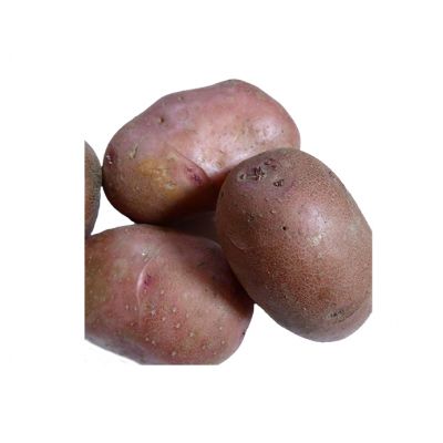 Krumpir crveni